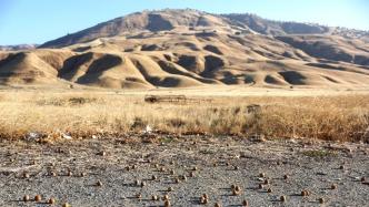 早安·世界｜美国加州超97%土地严重干旱