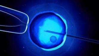 高绍荣：体外人工合成胚胎能否发育为可以存活的动物？目前很难