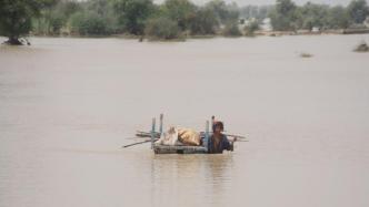 巴基斯坦洪灾死亡人数升至1162人