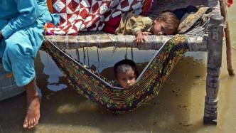 巴基斯坦严重洪灾持续，专家：水媒疾病的传播有蔓延趋势