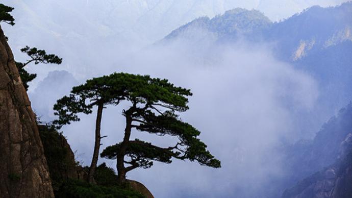 将星陨落：开国少将杨永松逝世，1955年授衔将帅全部离世