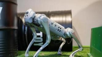 中国四足机器人都是“笨狗”？没那么简单
