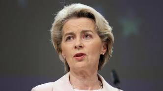 外媒：欧委会主席支持对俄罗斯管道天然气设定价格上限