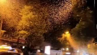 湖南沅江夜间出现大量飞蛾漫天飞舞，生态环境局：近三年都有