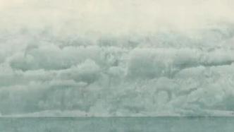 木心诞辰95周年纪念展：纸墨里的“池静石眠”