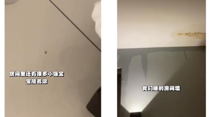 博主投訴馬來西亞網紅酒店漏水有蟑螂,回應已清理干凈