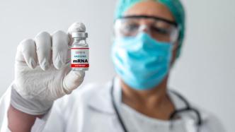 一文读懂mRNA技术｜王海：让细胞成为蛋白药物生产的小型工厂