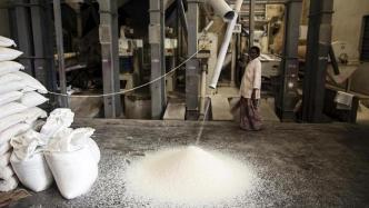 为保障国内粮食供应，印度对部分出口大米征收20%关税