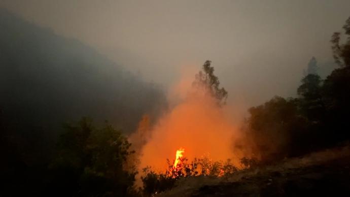 美国加州山火肆虐，已造成9人死亡