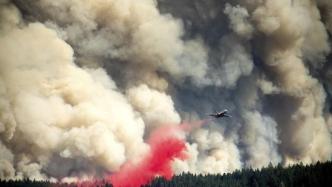 美国加州山火蔓延威胁大量居民：目前仅10%火势得到控制