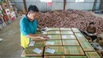 國家郵政局：隱私面單推廣工作全面鋪開，日均使用量達1億單