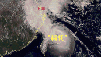 台风“梅花”逼近，预计明天上海风风雨雨，夜间更是风大雨急