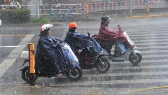 暴雨、台风、黄浦江高潮位，上海目前“双黄一蓝”三预警高挂