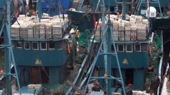 山东威海：台风“梅花”逼近，北斗召回上千条渔船