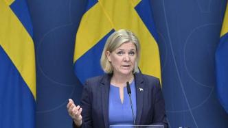 瑞典首相安德松正式宣布辞职