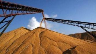 美媒：乌克兰粮食储存能力下降约15%，或对市场产生影响