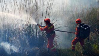 李克强对森林草原防灭火工作作出重要批示：坚决遏制重特大火灾发生