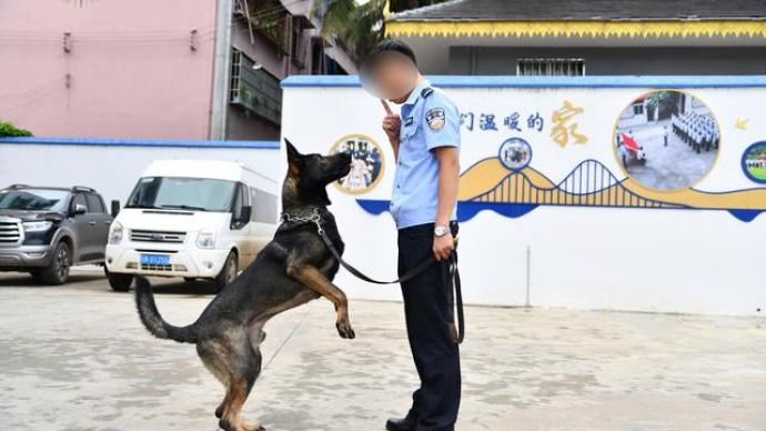 云南警犬協(xié)助繳毒23公斤