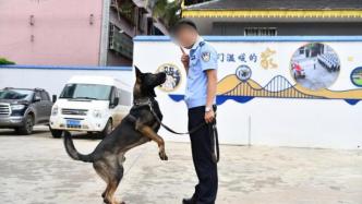 云南警犬協(xié)助繳毒23公斤