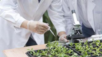 教育部发布12个新农科人才培养引导性专业