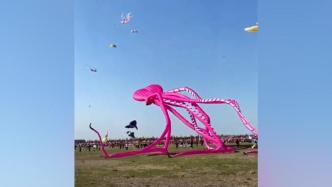 第39届潍坊国际风筝会改为线上“云上风筝赛”