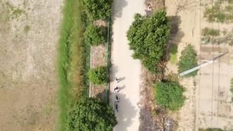 警方使用无人机空中巡航，保护白鹭栖息地