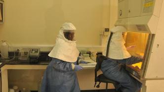 乌干达已报告7例埃博拉确诊病例