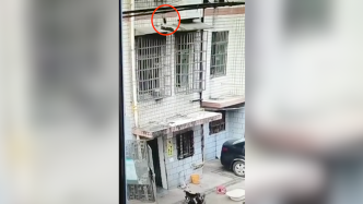 长沙一小区内“天降”菜刀砸中楼下空轮椅，社区：户主已道歉