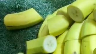 4岁男童割坏店内香蕉，妈妈斥责：全买，道歉！
