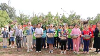 中国农民丰收节丨小学组织学生收花生：树立劳动最光荣理念