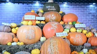 秋分日，在2022中国农民丰收节上海主会场感受农耕新风采