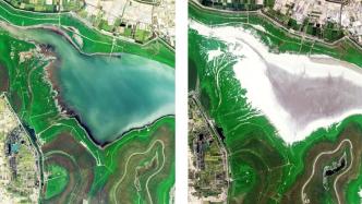 长江之旱｜卫星图对比：洞庭湖水域面积剧减，湖中露大片河床