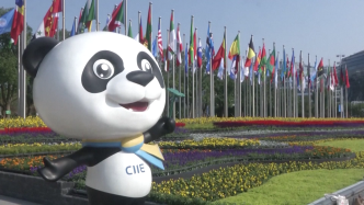 《上海市服务办好中国国际进口博览会条例》全文公布