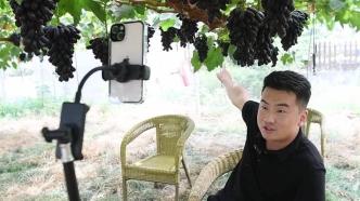 返鄉的年輕人：“95后”小伙做葡萄架下新農人
