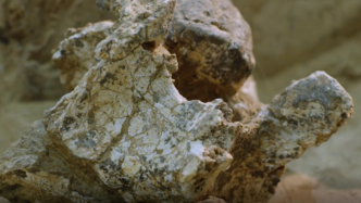 湖北十堰发现距今100万年古人类头骨化石，直立人形态特点明确
