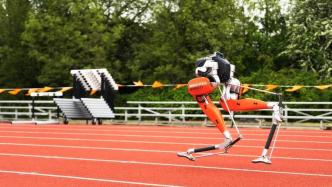24.73秒！双足机器人百米跑新纪录诞生
