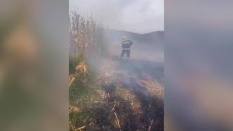 农民烧秸秆起火，消防员冲进烟海扑救