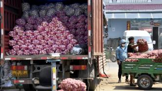 北京新发地市场部分水果交易调至临时周转区