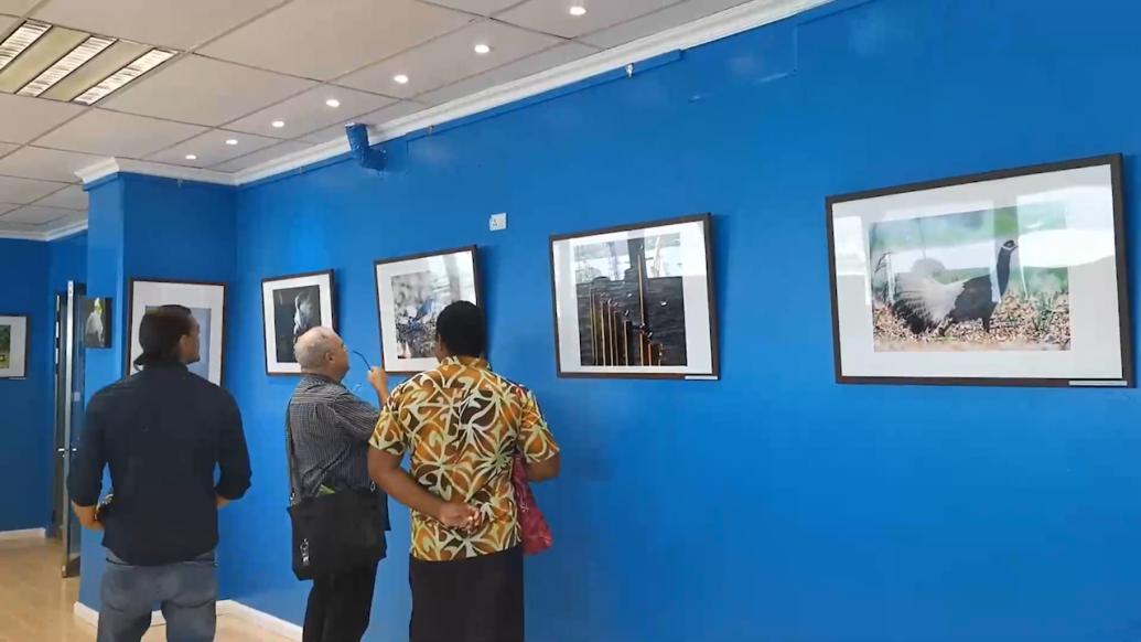 见证两国友谊，斐济中国文化中心和斐济环境局联合举办艺术展