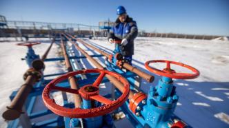 俄气：“西伯利亚力量”管道完成例行检修，恢复对中国供气