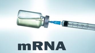诺贝尔生理学或医学奖明天公布，连续两年呼声最高的mRNA技术会赢吗？