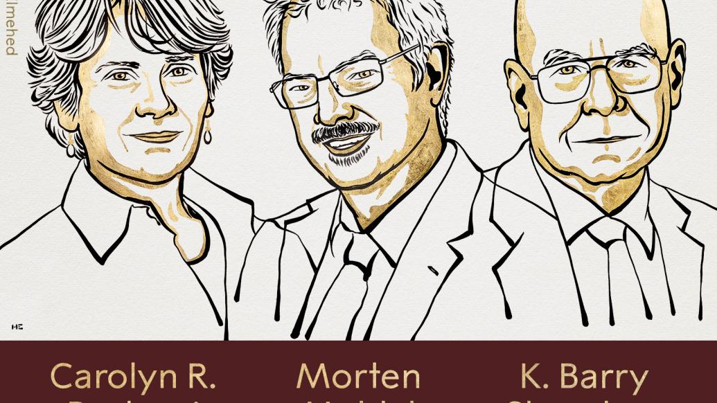 美国丹麦三科学家获2022年诺贝尔化学奖，其中一位第二次获奖
