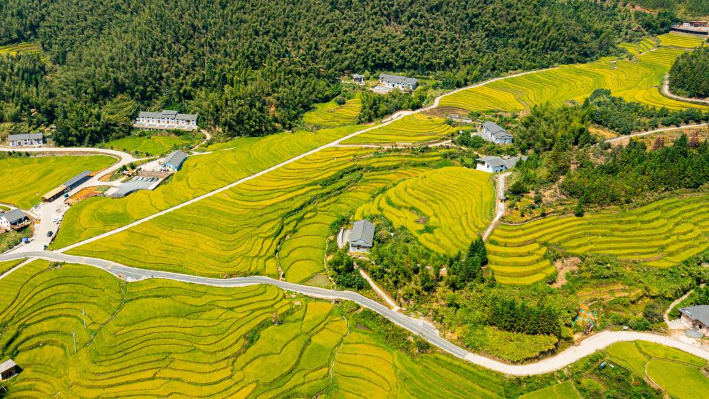 我国新添4处世界灌溉工程遗产，分别位于蜀、苏、浙、赣四省