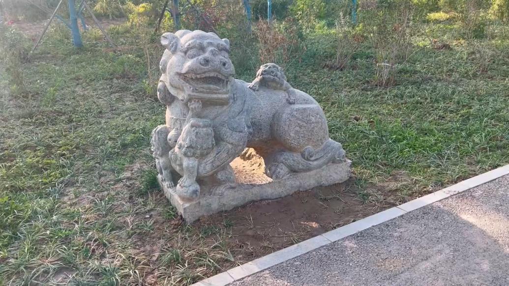 江河奔腾看中国丨打卡河北沧州百狮园:百余只狮子百态千姿_关键帧_澎湃新闻-The Paper