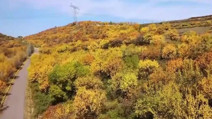 瞰见｜金秋六盘山