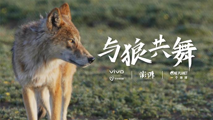 预告丨与狼共舞