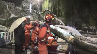四川康定遭遇大雪：树木倒伏车辆被困，消防紧急清障