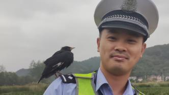 高速事故中宠物鸟逃离，杭州交警带母子搜寻1小时找回