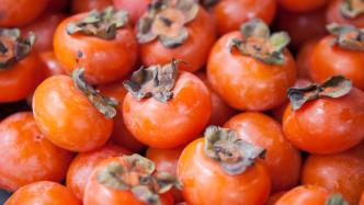杭州大伯三天吃20多个柿子致肠梗阻，医生：每天别超过两个