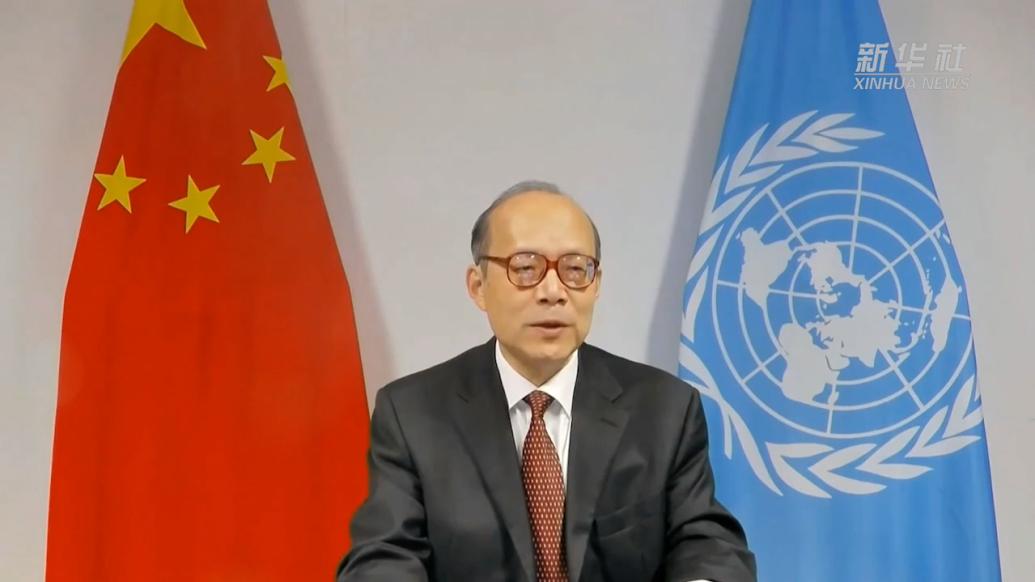中国大使：呼吁调查问责侵犯非洲人后裔儿童权利的肇事者